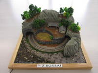 Z-BONSAI2-1.JPG