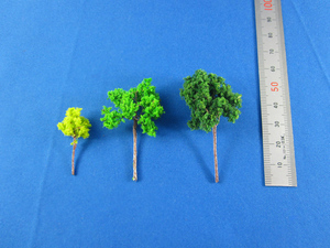 Real Z size tree-2.JPG