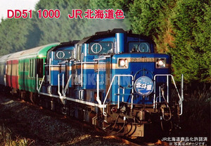 DD51 1000 JR北海道色、エンジン更新車、暖地形国鉄色 発売決定 | 新着